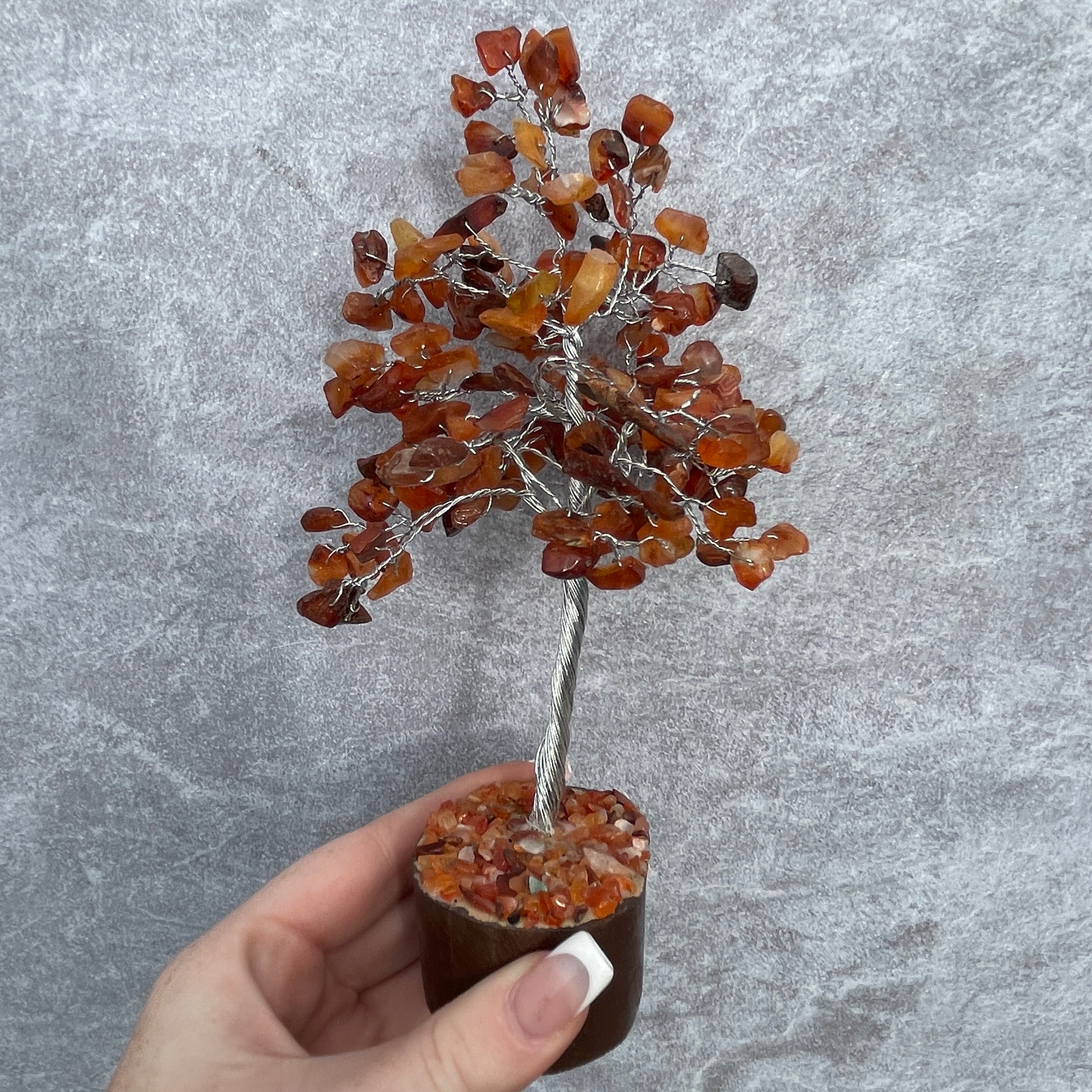 Carnelian Tree - Medium 012 Carnelian Tree - Medium 012